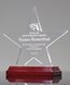 Picture of Acrylic Star on Rosewood Base Award