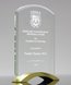 Picture of Top Arch Glass Award