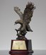 Picture of Eros Flight Eagle Trophy