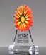 Picture of Orange Sunflower Award