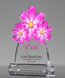 Picture of Colorful Flowers Trophy