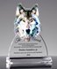 Picture of Wolf Spirit Award