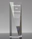 Picture of Crystal Goldwell Award