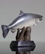 Picture of Resin Salmon Trophy