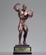 Picture of Resin Bodybuilder Trophy