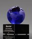 Picture of Top Performance Blue Globe Award