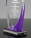 Picture of Purple Turin Acrylic Award