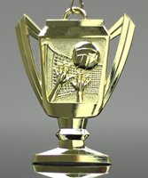 Picture of Volleyball Trophy Cup Medals