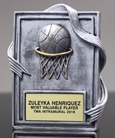 Picture of Basketball Wedge Award