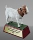 Picture of Goat Mascot Trophy