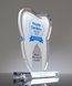 Picture of Acrylic Tooth Trophy