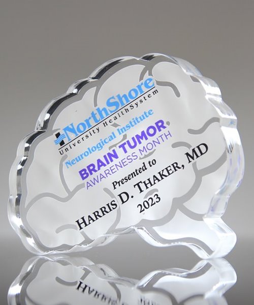 Picture of Custom Brain Paperweight Award