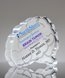 Picture of Custom Brain Paperweight Award