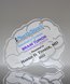 Picture of Custom Brain Paperweight Award