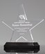 Picture of Acrylic Star on Rosewood Base Award