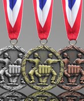 Picture of Classic Martial Arts Medals