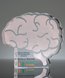 Picture of Acrylic Brain Trophy Paperweight