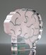 Picture of Acrylic Brain Trophy Paperweight