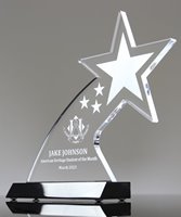 Picture of Shooting Star Award