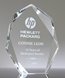 Picture of Faceted Crystal Peak Award