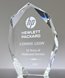 Picture of Faceted Crystal Peak Award