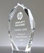 Picture of Faceted Crystal Peak Award