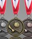 Picture of Volleyball Value Medals