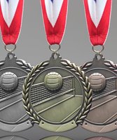 Picture of Traditional Volleyball Medal