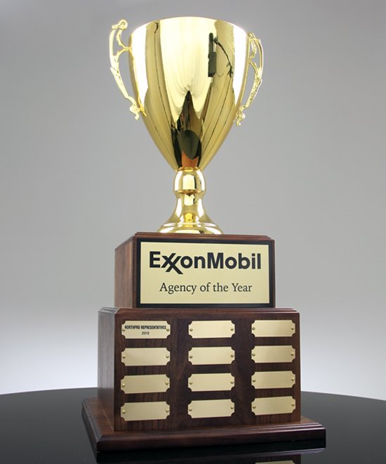 Pinnacle Achievement Trophy Cup