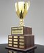 Picture of Pinnacle Achievement Trophy Cup