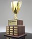 Picture of Pinnacle Achievement Trophy Cup