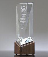 Picture of Crystal Top Performers Award