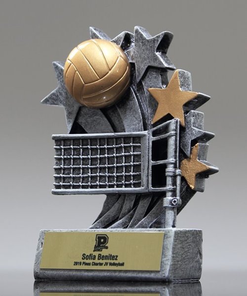 Picture of Star Blast Volleyball Award