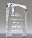 Picture of Optical Prism Acrylic Award