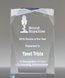 Picture of Optical Prism Acrylic Award