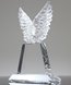 Picture of Crystal Wings Trophy