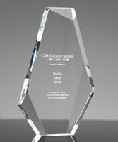 Picture of Crystal Dynasty Award