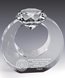 Picture of Clear Crystal Diamond Circle Award