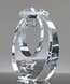 Picture of Clear Crystal Diamond Circle Award