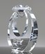 Picture of Diamond Ring Pristine Crystal Award