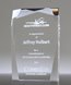 Picture of Optical Prism Acrylic Award