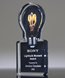 Picture of Light Bulb Moment Acrylic Award