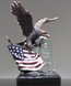 Picture of Patriot Eagle Award