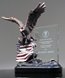 Picture of Patriot Eagle Award