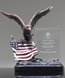 Picture of Patriot Eagle Award