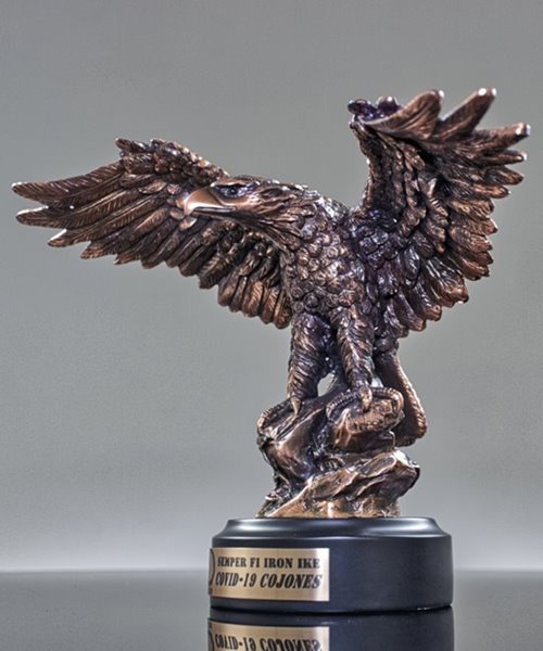 Picture of Courage Eagle Award