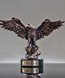 Picture of Courage Eagle Award