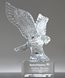 Picture of Royal Crystal Eagle Award