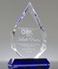 Picture of Dedicated Service Crystal Award