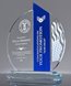 Picture of US Air Force Recognition Award